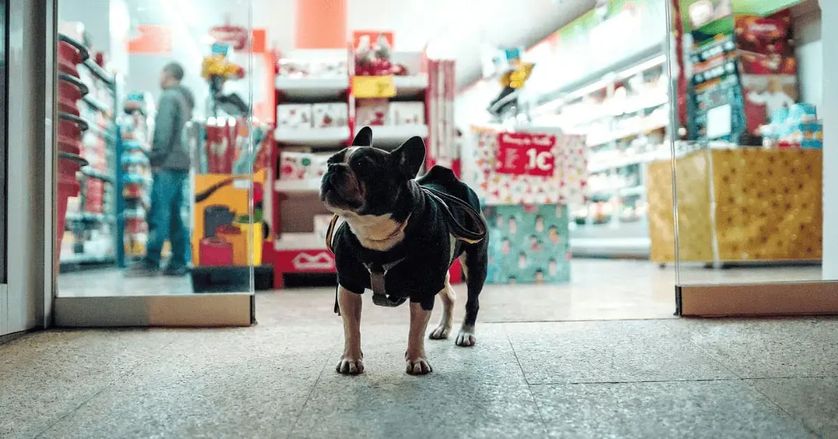 Customer Loyalty for Pet Stores How To Build a Program That Works BLOG-1