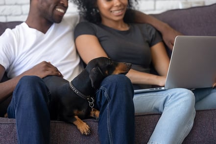11 Benefits of E-Commerce for Your Pet Store [and How To Use It]