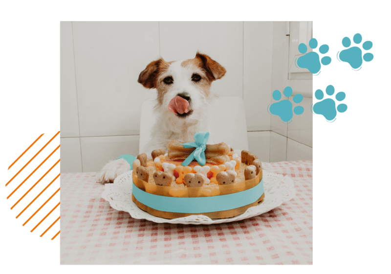 jrt jack russell terrier bone dog cake birthday