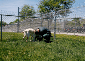 A prisoner hugs a puppy