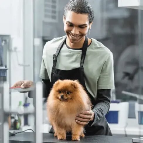 Pet grooming