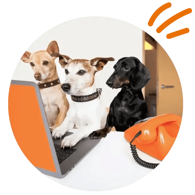 Pet store POS integrations