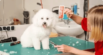 Grooming
