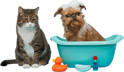 etailpet_grooming