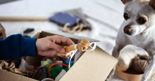 Should Your Pet Store Offer Subscription Services? 7 Considerations