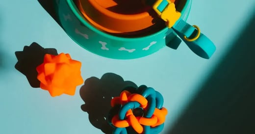 How To Open a Pet Shop in 10 Steps