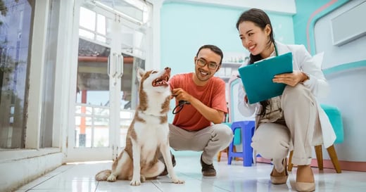 How POS Integrations Save Time for Small Pet Stores