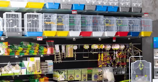 7 Data Reports for Multilocation Pet Stores