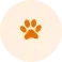 Foot Print