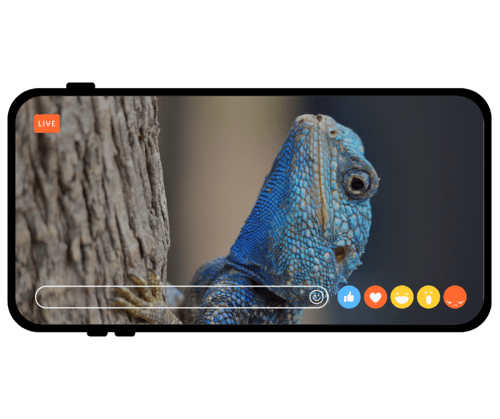 etailpet lizard