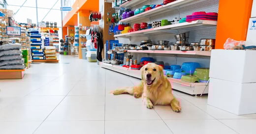 9 Ways To Compete Against Big-Box Pet Retailers