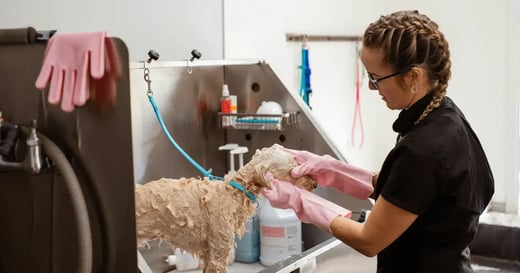 How To Manage Grooming Appointments: 7 Pet Store Pro Tips