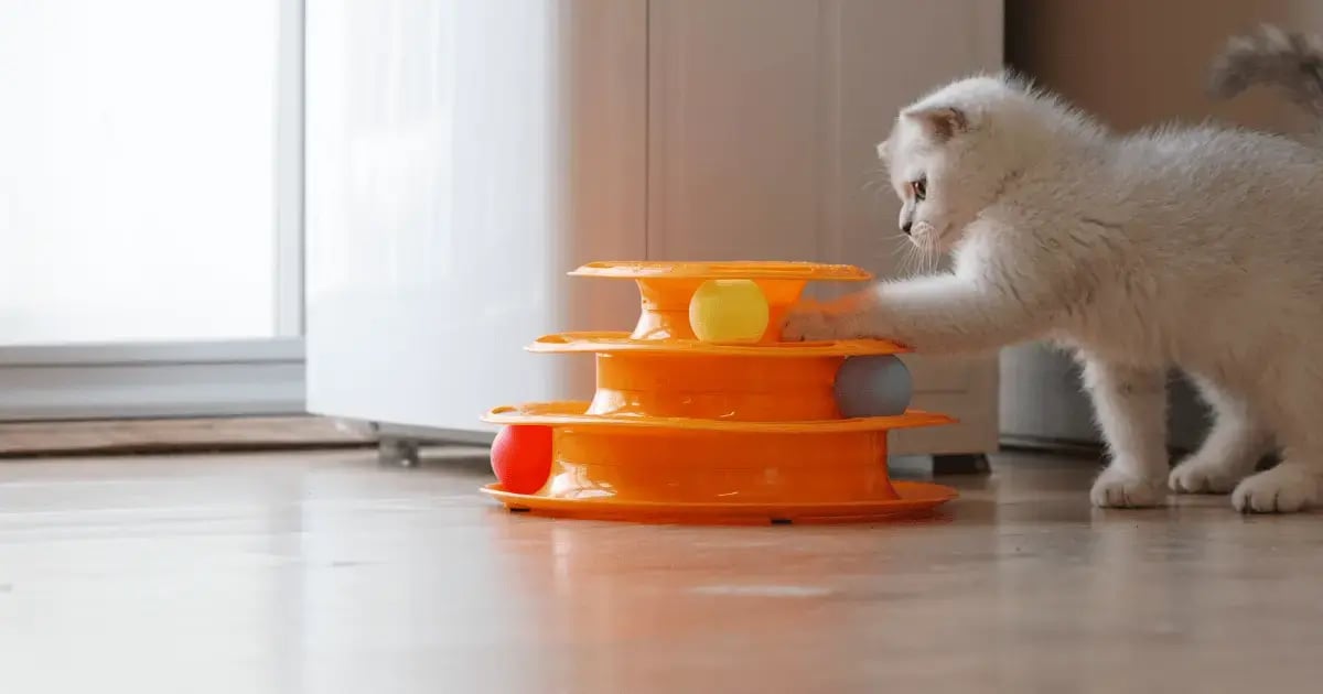 PET 111125 Interactive Pet Toys BLOG