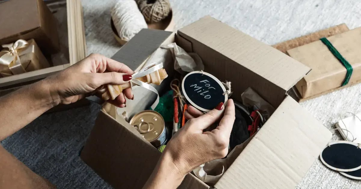 PET 111125 Pet Delivery Options BLOG