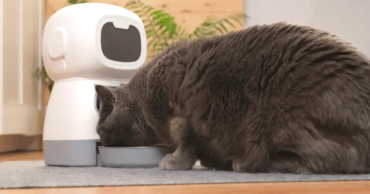 PET 111125 Pet Gadgets BLOG