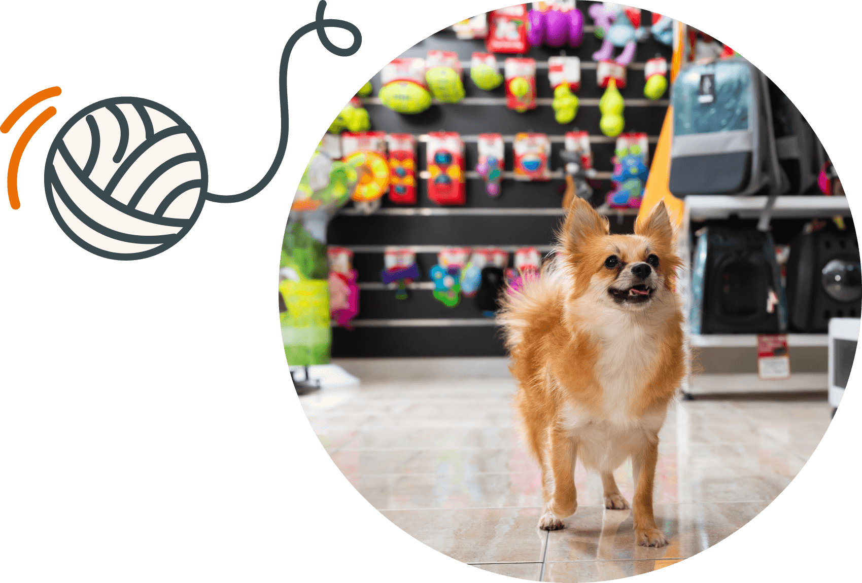 etail-image-dog (1)