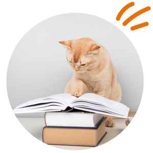 etailpet cat reading