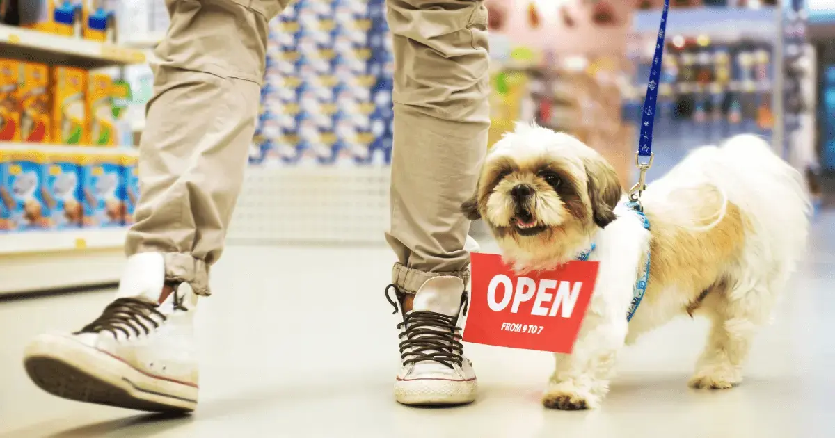 Man waking dog through pet store