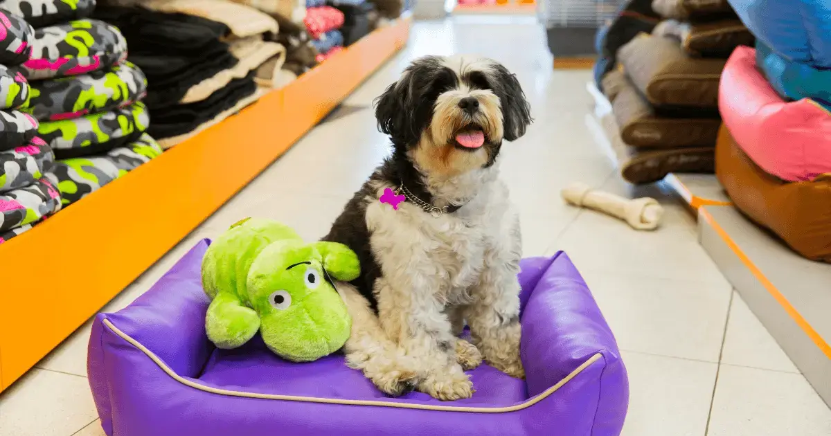 pet shop point of sale