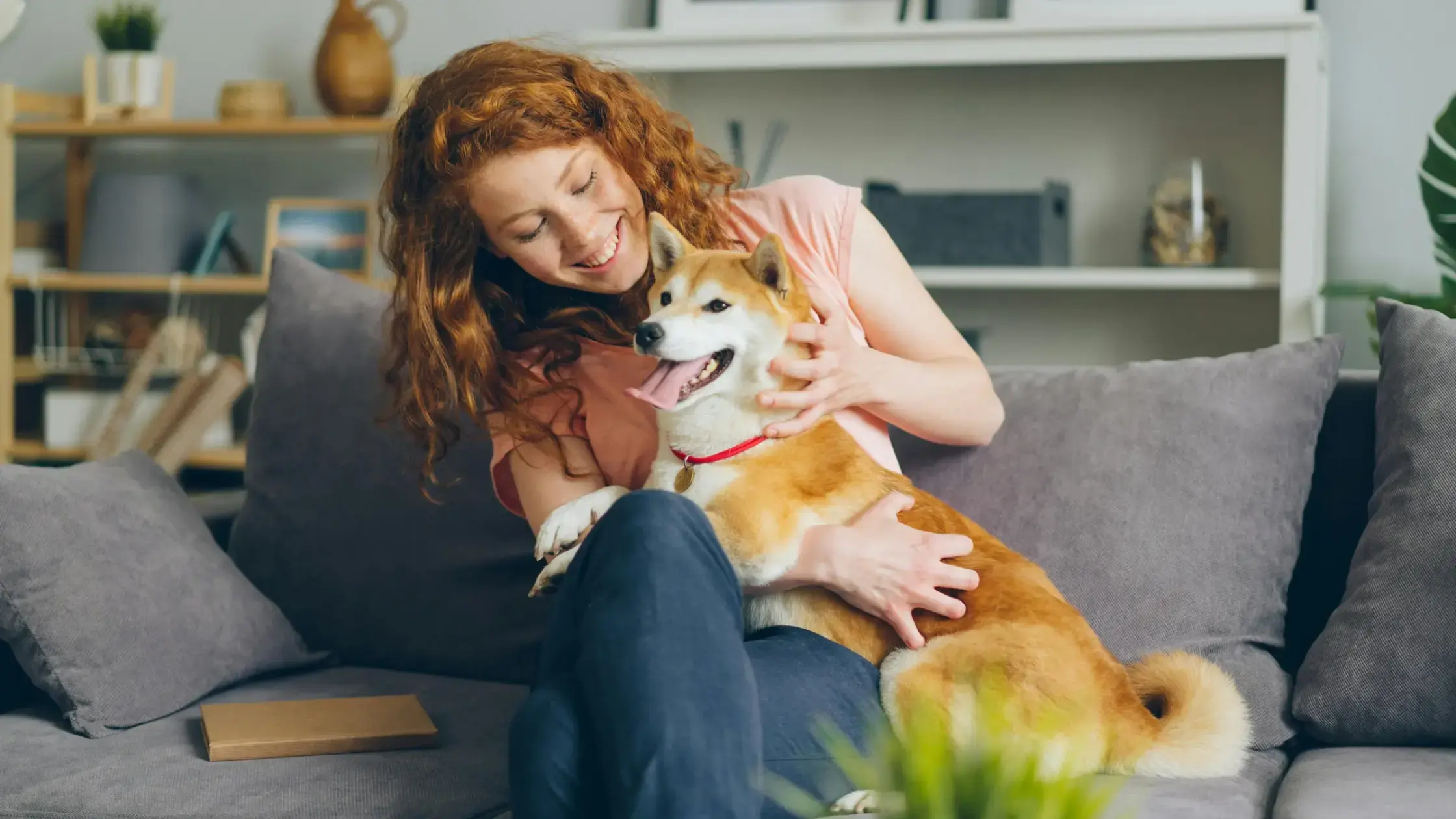 Preparing for the Holiday Season: 8 Tips and Ideas for Pet Store Owners