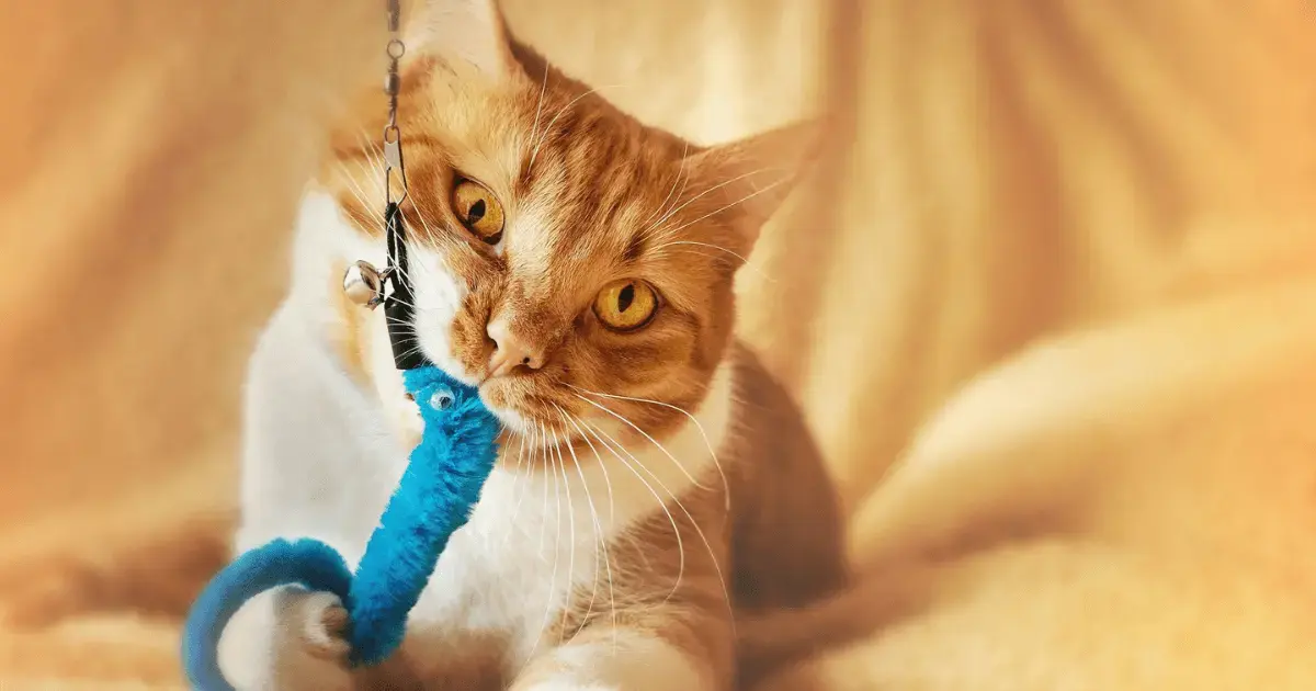 Best Lightspeed Alternatives for Pet Stores (2026)