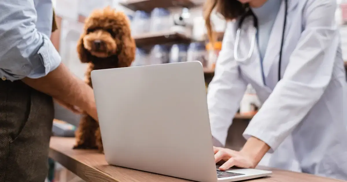 types of pet services
