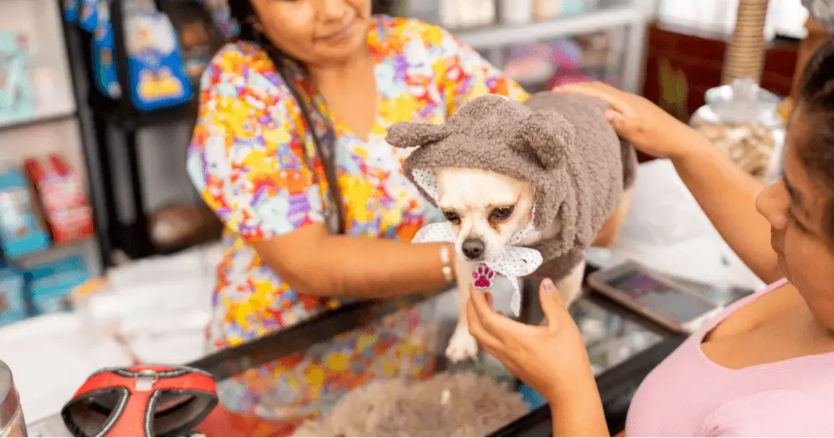 Best Square Alternatives for Pet Stores (2026)